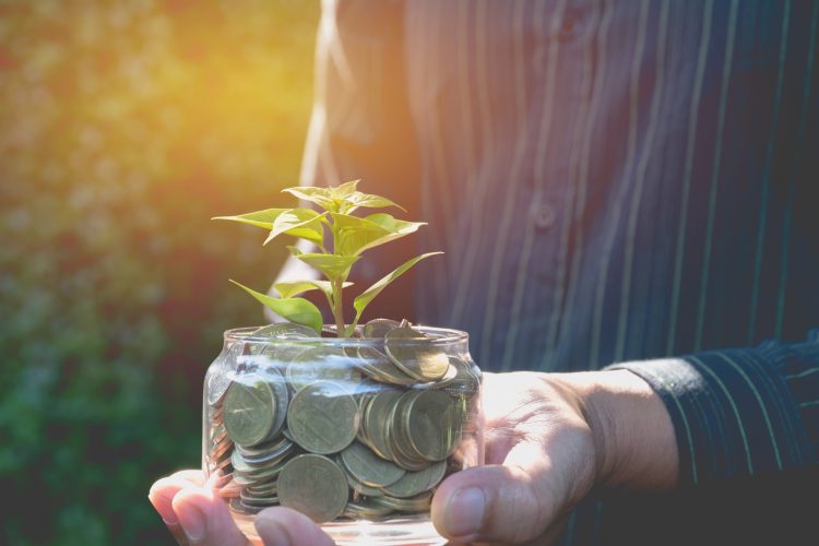 Person holding a plant growing from a jar of coins