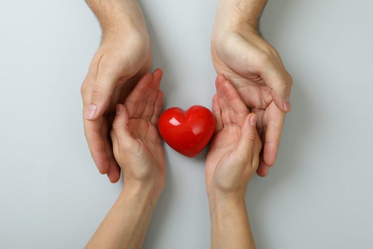 Donor concept with hands holding red heart on white background